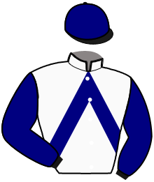 casaque portée par Vallette Mlle E. jockey du cheval de course JUDICIOUS DAYDREAM, information pmu ZETURF