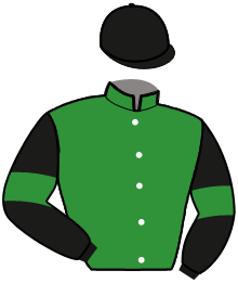 casaque portée par Piton J. Ch. jockey du cheval de course LOZANO, information pmu ZETURF