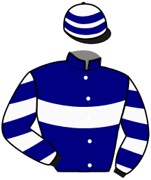 casaque portée par Nicole Ch. jockey du cheval de course LE GRAND DE VIRY, information pmu ZETURF