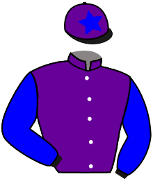 casaque portée par Lemaitre A. jockey du cheval de course TRINQUETTE, information pmu ZETURF