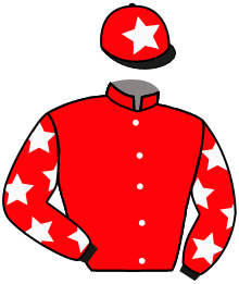 casaque portée par Congiu G. jockey du cheval de course THE CHARMER, information pmu ZETURF