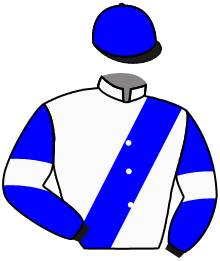 casaque portée par Wolff L. jockey du cheval de course MOTION, information pmu ZETURF