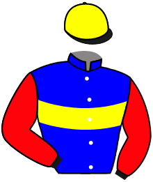 casaque portée par Pasquier S. jockey du cheval de course SOLID CHANCE, information pmu ZETURF