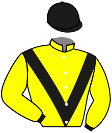 casaque portée par Lefebvre F. jockey du cheval de course PERMENTON, information pmu ZETURF