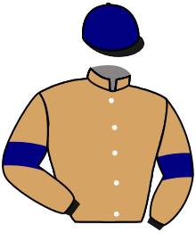 casaque portée par Doyle Mme Hol. jockey du cheval de course SPARTAN ARROW, information pmu ZETURF