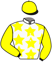 casaque portée par Demuro C. jockey du cheval de course NATIONAL SERVICE, information pmu ZETURF