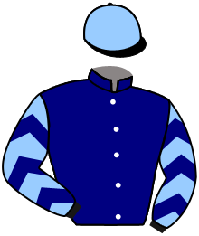 casaque portée par Boisseau L. jockey du cheval de course ROYALWOOD, information pmu ZETURF