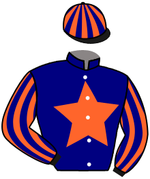 casaque portée par Madamet A. jockey du cheval de course VICTORY SALUTE, information pmu ZETURF