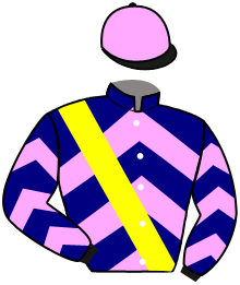 casaque portée par Lefebvre F. jockey du cheval de course BARGING THRU, information pmu ZETURF