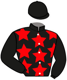 casaque portée par Blot E. G. jockey du cheval de course KARO DU BELET, information pmu ZETURF