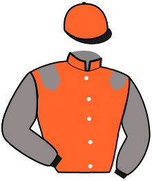casaque portée par Joseph F. jockey du cheval de course KORTEX, information pmu ZETURF