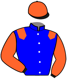 casaque portée par Bourlier S. jockey du cheval de course KOKTAIL LUDOIS, information pmu ZETURF