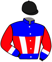 casaque portée par Guerineau F. jockey du cheval de course LAST DES BROUSSES, information pmu ZETURF