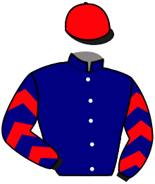 casaque portée par Abrivard A. jockey du cheval de course LOST DES COUPERIES, information pmu ZETURF