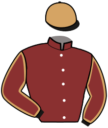 casaque portée par Pillon A. jockey du cheval de course LAPS GEDE, information pmu ZETURF