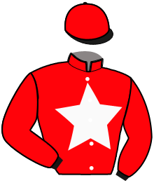 casaque portée par Calo T. jockey du cheval de course LOTUS DE BEYLEV, information pmu ZETURF