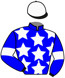 casaque portée par Verva Pie. Y. jockey du cheval de course LIMO DE MER, information pmu ZETURF
