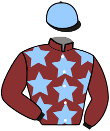 casaque portée par Sourice Mme Emi. jockey du cheval de course GALTON SAINT BAR, information pmu ZETURF