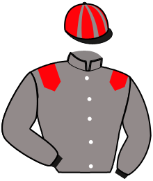 casaque portée par Grimault D. jockey du cheval de course IMPERIAL DE FORGAN, information pmu ZETURF
