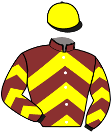 casaque portée par Acina D. jockey du cheval de course HAMOUR DE SISSI, information pmu ZETURF