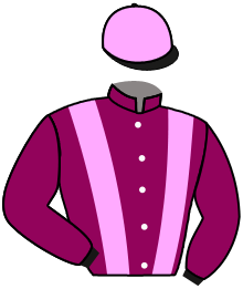 casaque portée par Zuliani L. jockey du cheval de course LUI POUR MOI, information pmu ZETURF