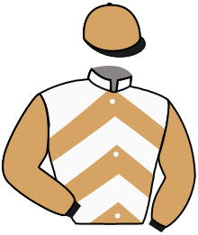 casaque portée par Zuliani L. jockey du cheval de course MAYBE THE STORY, information pmu ZETURF