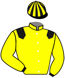 casaque portée par Bernard A. jockey du cheval de course FORRO EMERY, information pmu ZETURF