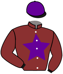 casaque portée par Lefebvre F. jockey du cheval de course DUNARELOI, information pmu ZETURF