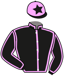casaque portée par Loison Mme Lor. jockey du cheval de course SUCH A DIAMOND, information pmu ZETURF