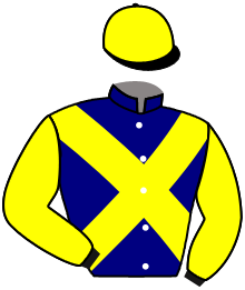 casaque portée par D' Andigne O. jockey du cheval de course KALEO CAESAR, information pmu ZETURF