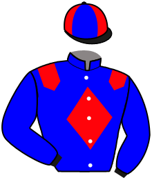 casaque portée par Journiac H. jockey du cheval de course VASIGREEN, information pmu ZETURF