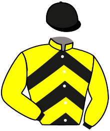 casaque portée par Rousset Y. jockey du cheval de course DEVILLA, information pmu ZETURF