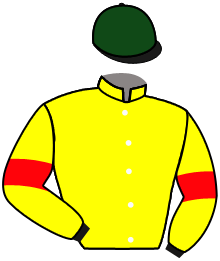 casaque portée par Plommee Léo. jockey du cheval de course FIADONE, information pmu ZETURF