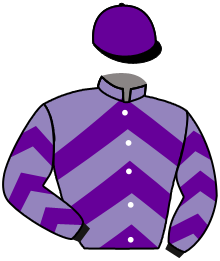 casaque portée par Pouchin A. jockey du cheval de course SEE THE LIGHT, information pmu ZETURF