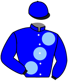 casaque portée par David Mme L. jockey du cheval de course TOLLEVAST, information pmu ZETURF