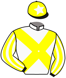 casaque portée par Michel Mlle Mic. jockey du cheval de course VERDANSK, information pmu ZETURF