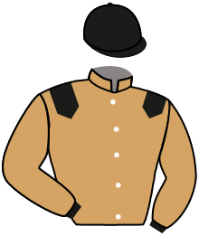 casaque portée par Sias Gio. jockey du cheval de course YOU'VE GOT SAIL, information pmu ZETURF