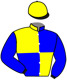 casaque portée par Boutin Hug. jockey du cheval de course ZAADOR, information pmu ZETURF