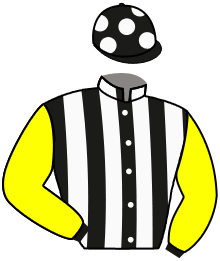 casaque portée par Santiago Mlle D. jockey du cheval de course LOVEBIRD, information pmu ZETURF