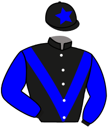 casaque portée par Guitraud C. jockey du cheval de course GIOTTO DES PLACHIS, information pmu ZETURF
