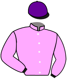 casaque portée par Michel Mlle Mic. jockey du cheval de course JULIO, information pmu ZETURF