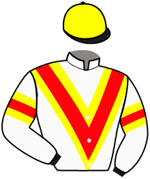 casaque portée par Favriaux Mal. jockey du cheval de course YACOMO, information pmu ZETURF