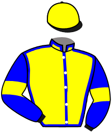 casaque portée par Masson A. jockey du cheval de course INNOVANTE, information pmu ZETURF