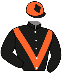 casaque portée par Breux D. jockey du cheval de course LE TREZY, information pmu ZETURF