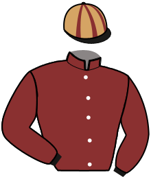 casaque portée par Rochard B. jockey du cheval de course MARA DU SAPHIR, information pmu ZETURF
