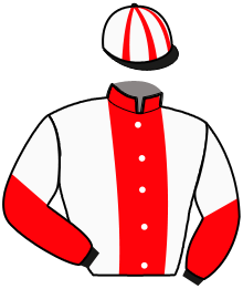 casaque portée par Guinoiseau L. jockey du cheval de course LUEUR DE LOIRON, information pmu ZETURF