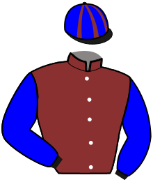 casaque portée par Rochard B. jockey du cheval de course LYSANDRA, information pmu ZETURF