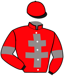 casaque portée par Rochard B. jockey du cheval de course KOCCINELLE BEY, information pmu ZETURF