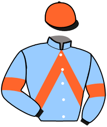 casaque portée par Gauvin J. P. jockey du cheval de course KISS ME JULRY, information pmu ZETURF