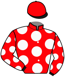 casaque portée par Verriere L. jockey du cheval de course IVANOVITCH EST LA, information pmu ZETURF